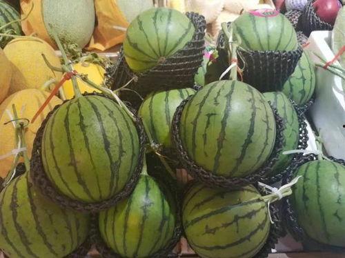 吃瓜小优,揭秘娱乐圈那些不为人知的幕后故事