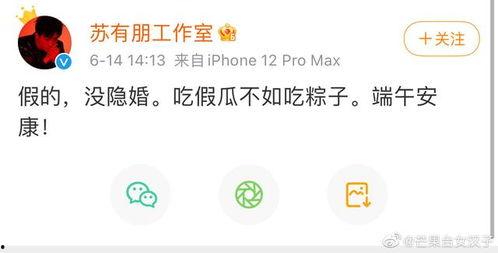 吃瓜网站登陆,登录背后的秘密与精彩内容