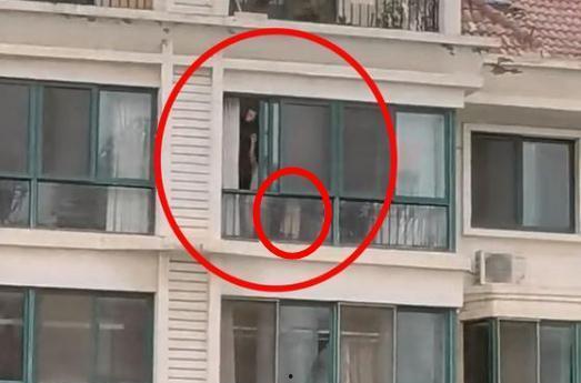 山东顶楼吃瓜,揭秘高空“瓜田”背后的真相