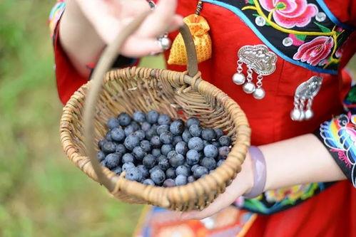 建始绯闻吃瓜,揭秘网络吃瓜背后的真相与争议