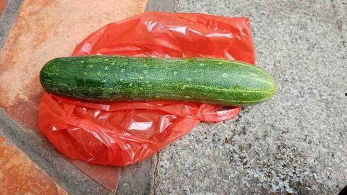 现在有哪些瓜可以吃,夏日消暑美味尽在此