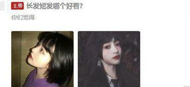 吃瓜系统夏果果,揭秘吃瓜系统背后的瓜界风云