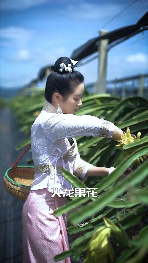 西双版纳傣族姑娘吃瓜,西双版纳姑娘的甜蜜瓜果时光