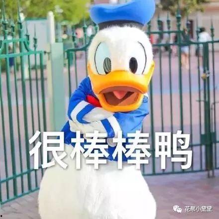 吃瓜少女冲鸭,揭秘娱乐圈幕后故事